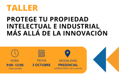 Protege tu Propiedad Intelectual e Industrial Más Allá de la Innovación